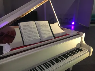 Artesia DP-3 WS Пианино цифровое, 88 клавиш, цвет белый купить в  интернет-магазине 