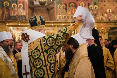 Поздравляем митрополита Феодора с пятилетием возведения в сан митрополита |  Волгоградская епархия