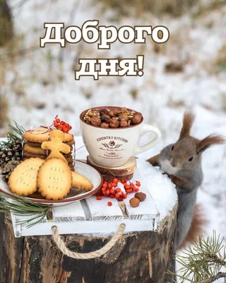 С ПЯТНИЦЕЙ! 🎄💖⛄🍒❄🎇❄🍒⛄💖🎄 ХОРОШЕГО НАСТРОЕНИЯ В ЛЮБУЮ ПОГОДУ! 🌨☀❄ |  Открытки, Осенние фотографии, Доброе утро