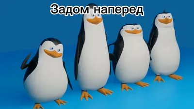 Тучняк: 10 лучших фильмов с пингвинами — Статьи на Кинопоиске