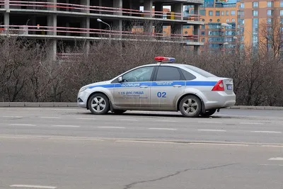 В бане под Питером нашли — вы уже догадались, что именно — Секрет фирмы