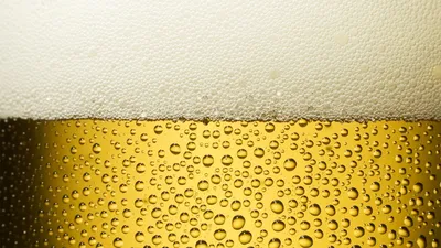 Обои Бокал с пивом, картинки - Обои для рабочего стола Бокал с пивом фото  из альбома: (еда)