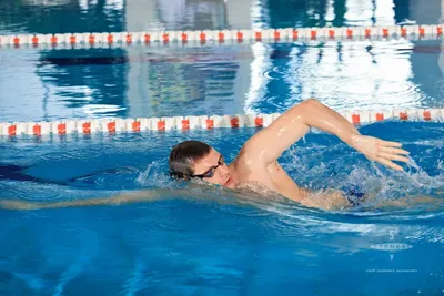 Плавать раньше, чем ходить: все о грудничковом плавании