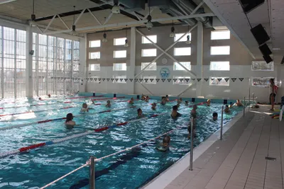 Какие проблемы со здоровьем могут решиться благодаря регулярным занятиям  плаванием? | ПЛЫВИ МОСКВА | Школа плавания | Дзен