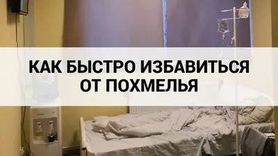 Почему приход на работу с похмелья может быть пустой тратой времени |  unimedhealth | Дзен