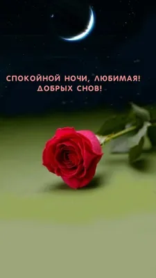 Открытки "Спокойной ночи!" для любимой (151 шт.)