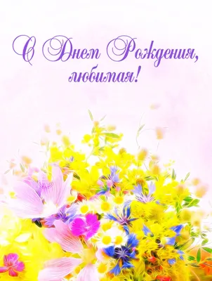 Купить Букет полевых цветов на День рождения 💐 в СПБ недорого с бесплатной  доставкой | Amsterdam Flowes