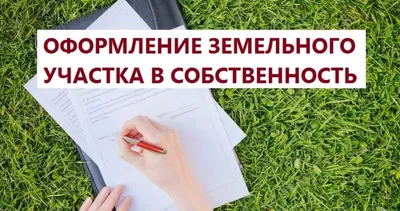 Бенто торт на получение прав с ягодами, Кондитерские и пекарни в Тольятти,  купить по цене 1850 RUB, Бенто-торты в Dasha Cake Blog с доставкой | Flowwow