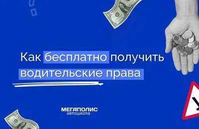 Получение водительских прав в Польше: что нужно для этого украинцам,  рекомендации - МЕТА