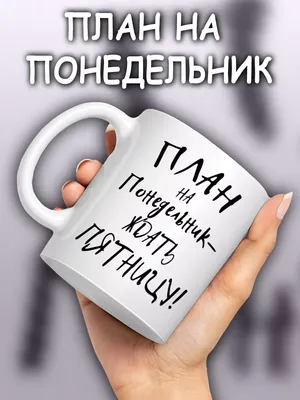 Брелок для ключей, "План на понедельник - ждать пятницу!" - купить с  доставкой по выгодным ценам в интернет-магазине OZON (618833631)