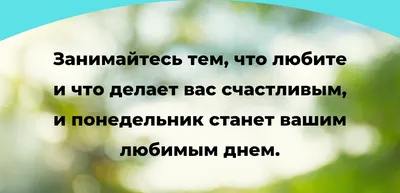 С добрым, прекрасным, осеннем, чудесным утром понедельника и с новой т... |  TikTok