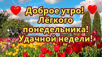 Доброе утро! Лёгкого понедельника! Удачной недели! - YouTube