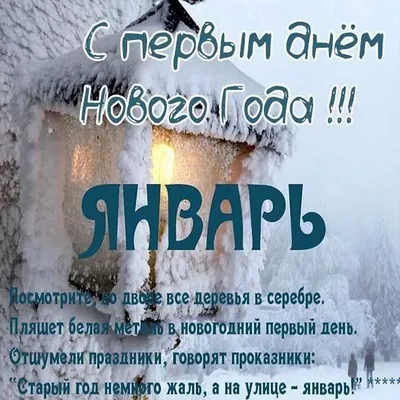 С первым днем зимы: прикольные и красивые картинки к 1 декабря - МК  Новосибирск