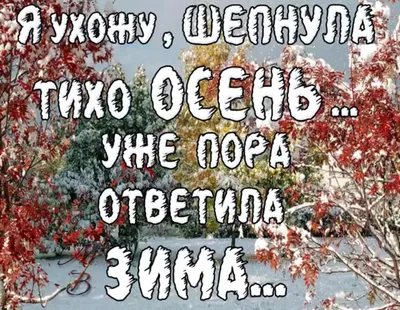 11 ноября - Приметы, обычаи и ритуалы, традиции и поверья дня. Все  праздники дня во всех календарях. | Сергей Чарковский Все праздники | Дзен