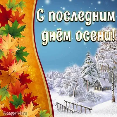 Последний день осени 2023 года: картинки и открытки к 30 ноября - МК  Волгоград