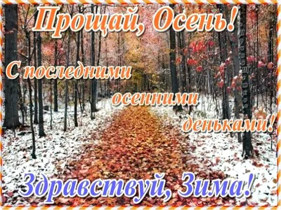 Пин от пользователя Валентина Лютвинская на доске 28 Ноября | Открытки,  Осенний пейзаж, Осень