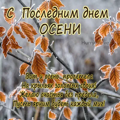 🍂❄️🍁🏠🍁❄️🍂 С последним днем Осени! | Сказки, Открытки, Осень