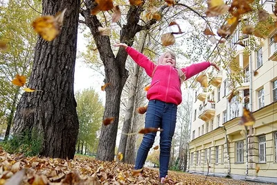 Тишковец: воскресенье 11 сентября станет последним погожим днем в Москве -  