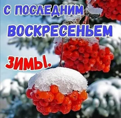 Идеи на тему «Зимняя сказка❄⛄» (340) в 2023 г | доброе утро, открытки,  сказки