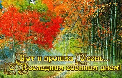 С последним осенним днём!🍂🪶 в 2023 г | Открытки, Счастливые картинки,  Милые открытки