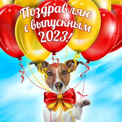 Последний звонок 2020: картинки, стихи, поздравления для выпускников |  Общество | Селдон Новости