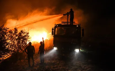 В оперштабе рассказали о ситуации с крупным пожаром в Геленджике -  Газета.Ru | Новости