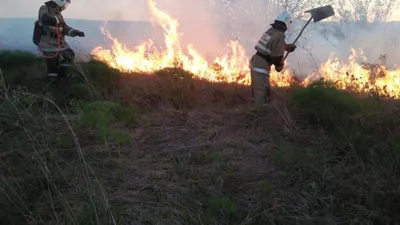 Пожар в кафе "Полигон" в Костроме : несколько человек погибли  - 