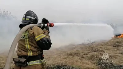 Ситуация с лесным пожаром в Таксимо стабилизовалась, заявил Цыденов - РИА  Новости, 