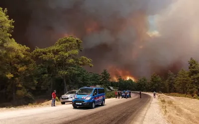 Лесные пожары в Турции добрались до Антальи - эвакуируются отели. Видео -  , Sputnik Армения