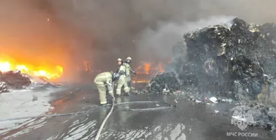В Португалии в результате лесного пожара погибло более 60 человек