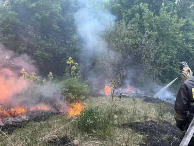 В Сургуте в связи с пожаром в лицее были эвакуированы дети и взрослые |  ПРОИСШЕСТВИЯ | АиФ Югра