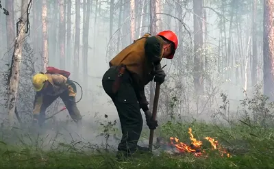 Фото и видео с пожара в Абайской области