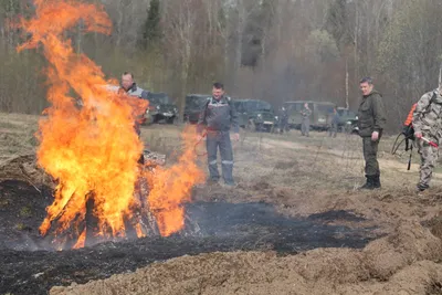 Турчак предложил реформу системы борьбы с лесными пожарами — РБК