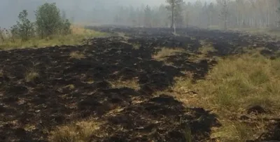 Жители Петрозаводска наблюдали за мощным пожаром в жилом доме | Новости  Карелии |  | Дзен