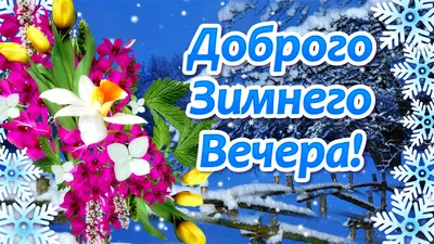 Доброго Зимнего Вечера! | Мультяшные Поздравления | Дзен