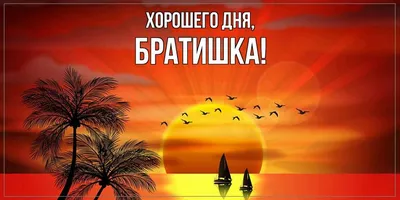 Картинки "С Добрым Утром и Хорошего Дня!" (256 шт.)