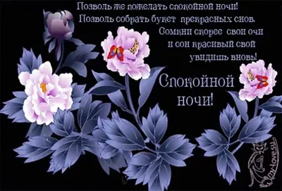 Картинки "Спокойной ночи!" (2829 шт.)