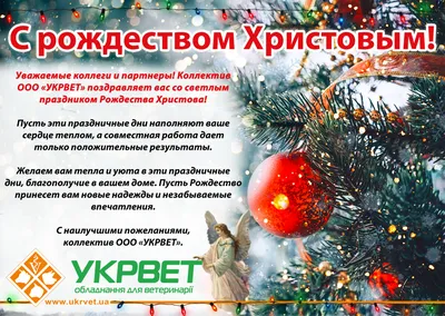 Как поздравить с Рождеством на английском: лучшие поздравления в нашей  статье