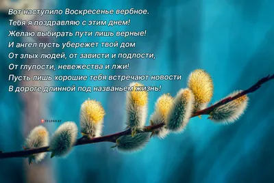 С праздником Вербное воскресенье | Праздник, Праздничные открытки,  Рождественские изображения