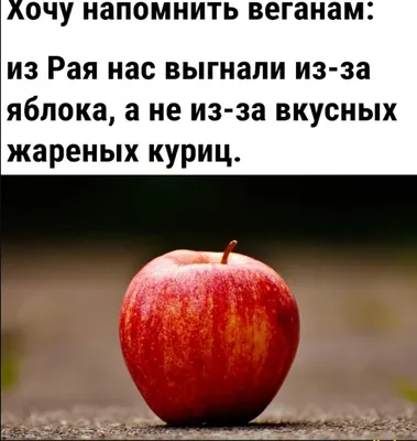 Пин от пользователя Ольга Семеренко на доске мотивация в 2023 г | Доброе  утро, Счастливые картинки, Смешные таблички