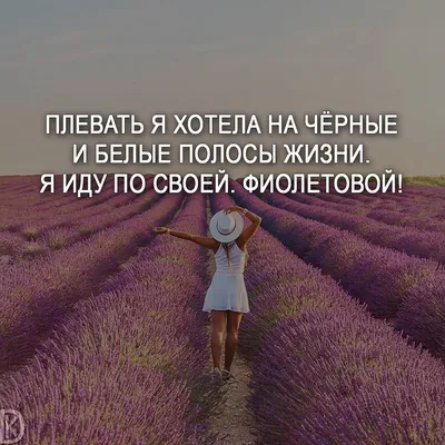 мотивация #цитаты #мысли #любовь #счастье #философия #позитив #жизнь #мечта  #саморазвитие #мудрость #отноше… | Вдохновляющие цитаты, Жизненные  поговорки, Мотивация