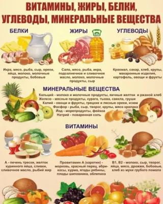 Диета: правильное питание, похудение, дюкана, диета 5