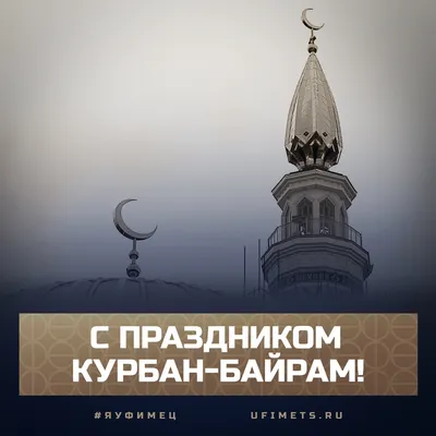 Президент Федерации мигрантов России поздравил мусульман с праздником  Курбан-байрам – Федерация Мигрантов России