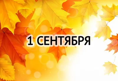 Плакат Арт купить по выгодной цене в интернет-магазине OZON (1083272751)