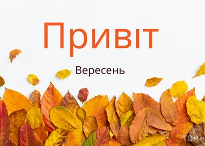 Праздник осени в «Маленькой стране» ВНИИСОК | Сеть частных детских садов  Маленькая страна