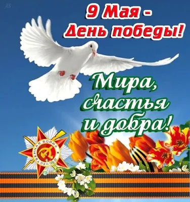 День Победы – это «праздник со слезами на глазах». Мы чтим свято память  тех, кто подарил нам возможность жить и трудиться. Примите наши  поздравления с великим праздником Победы.