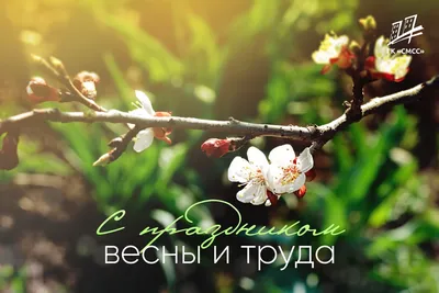 Поздравляем с праздником весны и труда - с 1 мая