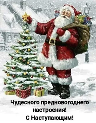 Предновогоднее настроение💥💥💥 #скороновыйгод2024🎄🎀🎅 #позитив #юмо... |  TikTok