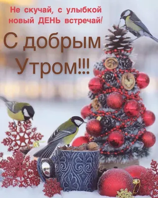 Картинки с надписями. Прекрасного предновогоднего настроения!. | Winter  christmas scenes, Christmas pictures, Christmas images