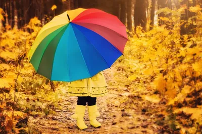 Осень, скоро зима: Как преодолеть апатию и поднять настроение | Супер  психология - Эльмира Довлатова. | Дзен